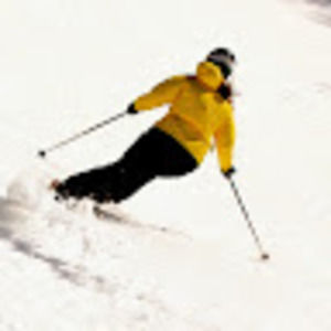 Meet your Posher, Eryn